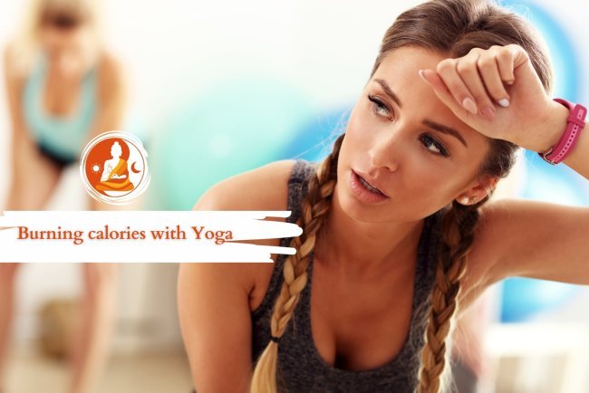 Does Yoga Burn Calories? Find Out Here