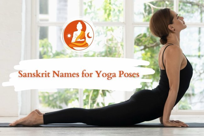 Sanskrit Yoga Pose Names Explained - Learn Popular Asanas