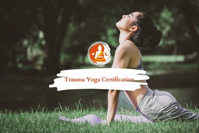 Trauma Yoga Certification: Heal and Empower Through Yoga