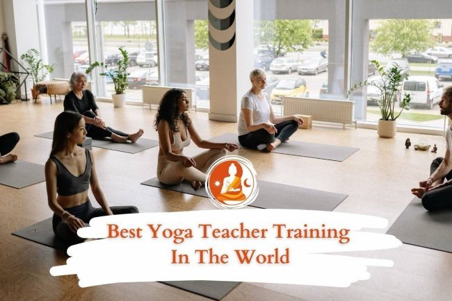 Best Yoga Teacher Training in the World - Yin Yang Yoga Academy