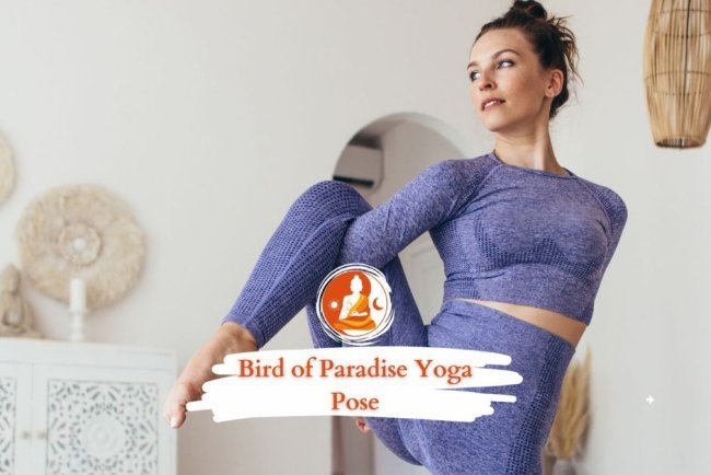 Explore the Bird of Paradise Yoga Pose: Tips and Benefits for Yogis